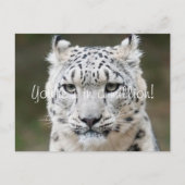 Sincere Snow Leopard Vielen Dank Postkarte (Vorderseite)