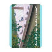 "Sind alle Ihre Enten in einer Reihe?" 3x4 Foto Ma Magnet (Vertikal)