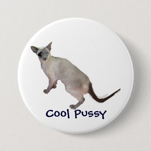 Sind cooler, cooler Pussy siamesisch Button (Vorderseite)