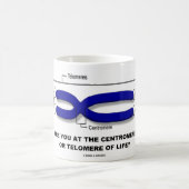 Sind Sie beim Centromere oder beim Telomere des Kaffeetasse (Mittel)