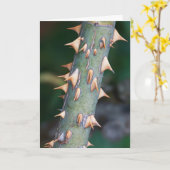 Sind Sie bereit? Karte (Gelbe Blume)