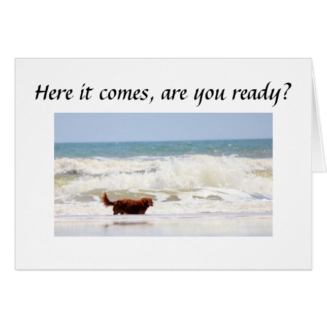 SIND "SIE" BEREIT, SICH ZU WENDEN ****50**** (Vorderseite (Horizontal))