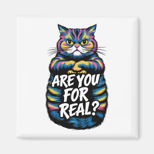 Sind Sie für eine wirklich lustige, gruselige Katz Magnet (Vorne)