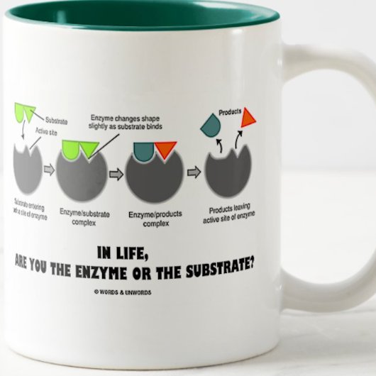Sind Sie im Leben das Enzym oder das Substrat? Zweifarbige Tasse