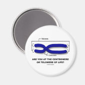 Sind Sie im Zentrum oder Telomere des Lebens? Magnet (Vorderseite/Rückseite)