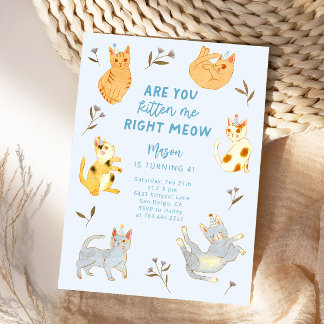 Sind Sie Kitten Me Cat Boy Geburtstag? Einladung
