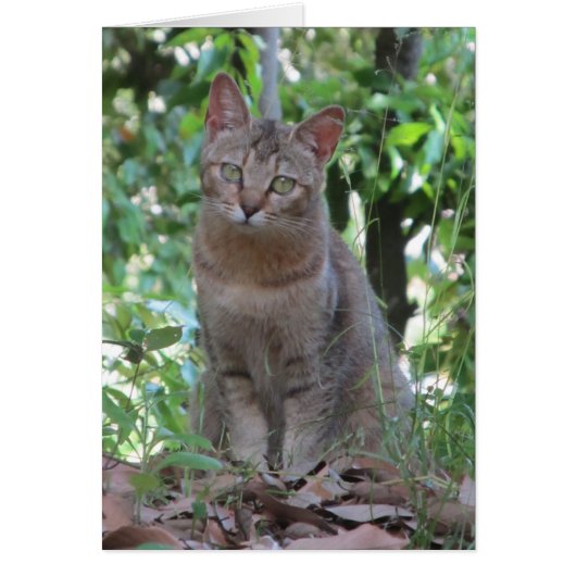 Sind Sie talkin zu mir? - TBD Reihe (Vorne)