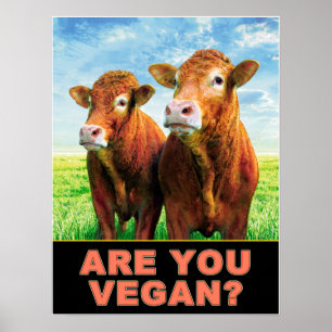 SIND SIE VEGAN? POSTER