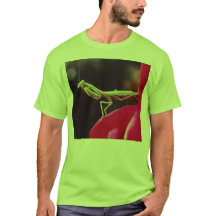 Sind wir eingeführt worden?