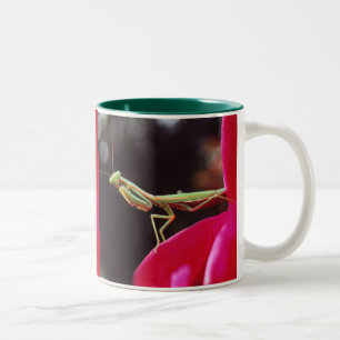 Sind wir eingeführt worden? zweifarbige tasse
