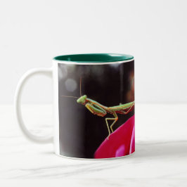 Sind wir eingeführt worden? zweifarbige tasse