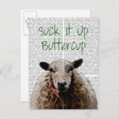 Sind zum Kotzen es auf Buttertasse Postkarte (Vorne/Hinten)