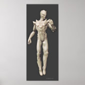 Sinestro Alternate Poster (Vorne)