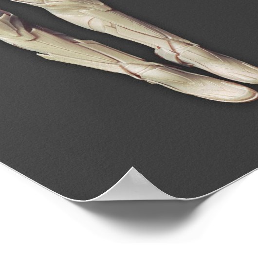 Sinestro Alternate Poster (Ecke)