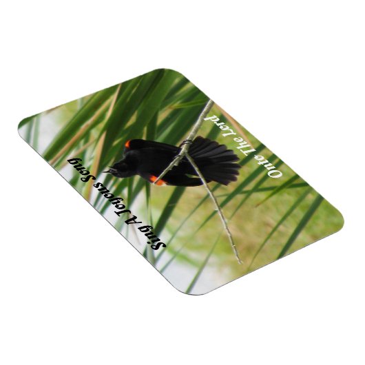 Sing a Joysong - Backyard Bird Quote Magnet (Rechte Seite)