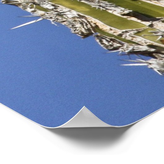 Sing Cactus Wren Poster (Ecke)