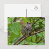 Sing mir eine Postkarte (Vorne/Hinten)