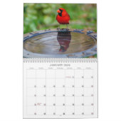 Sing mit mir! kalender (Jan 2026)