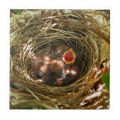 Sing out Art Tile Fliese (Vorderseite)