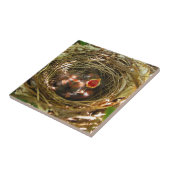 Sing out Art Tile Fliese (Seite)