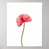 Sing Rote Mohn Blume minimalistisch Einfachheit Poster (Vorne)