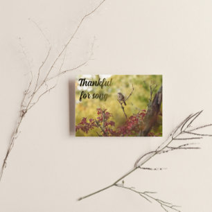 Singammer Herbst Dankbar Folie