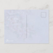 Singammer Postkarte (Rückseite)