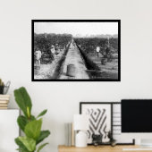 Singapore Coffee Plantation 1898 Poster (Heimbüro)