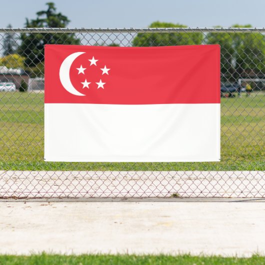 Singapore Flag Banner (Insitu)