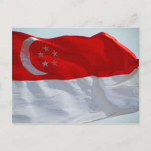 Singapore-Flagge Postkarte