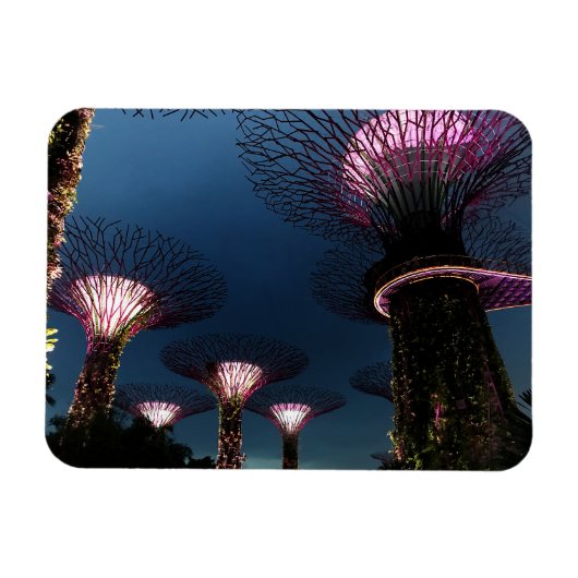 Singapore Gardens by Bay #1 Magnet (Horizontal)