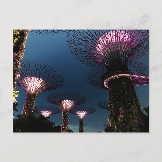 Singapore Gardens by Bay #1 Postcard Postkarte (Vorderseite)
