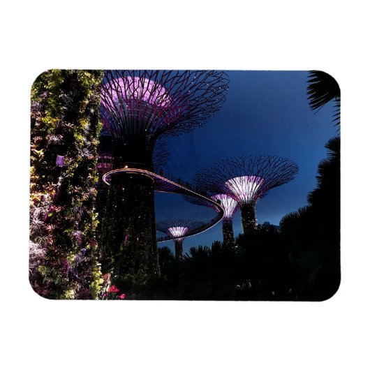 Singapore Gardens by Bay #2 Magnet (Horizontal)