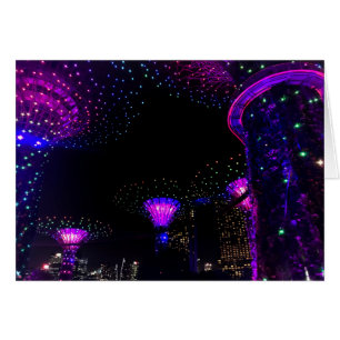 Singapore Gardens by Bay #5 Card