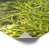 Singapore Gardens by Bay Poster (Ecke)