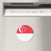 Singapore Magnet (In Situ (Geschirrspüler))