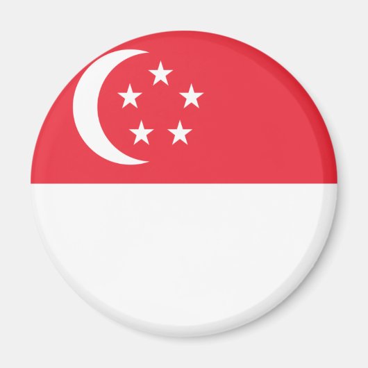 Singapore Magnet (Vorne)