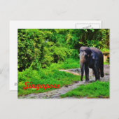 Singapore Postcard Postkarte (Vorne/Hinten)