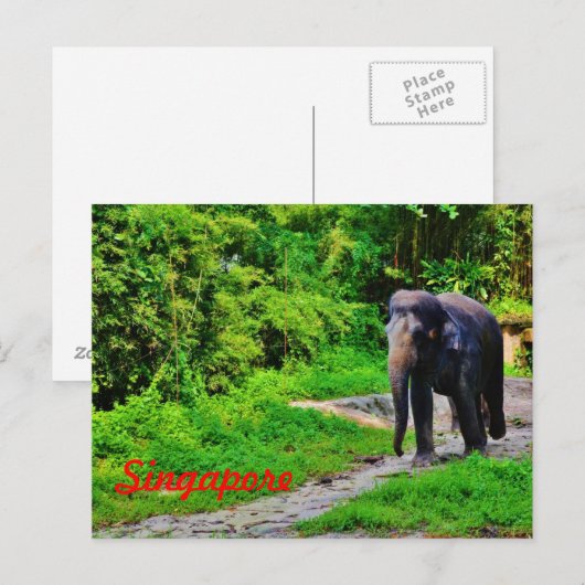 Singapore Postcard Postkarte (Vorne/Hinten)