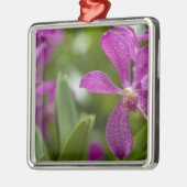 Singapore Sanskrit for Lion City). Nationalstaat Silbernes Ornament (Links)