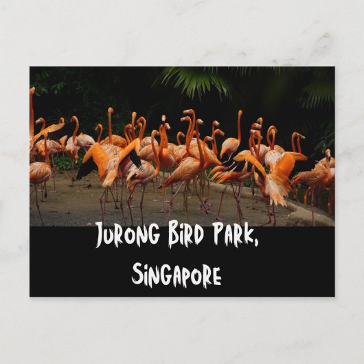 Singapore Travel Postcard Postkarte (Vorderseite)