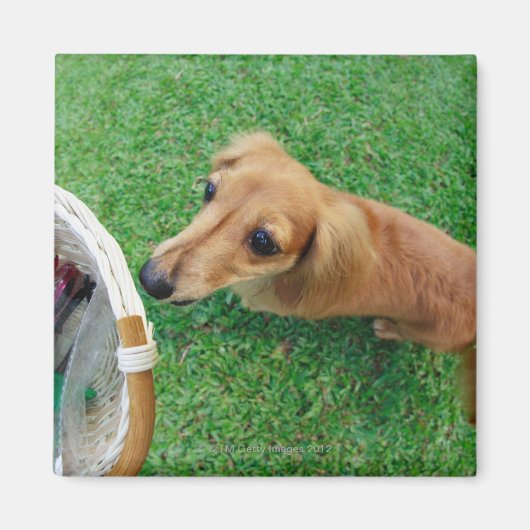 Singapur 2 magnet (Vorne)