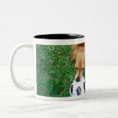 Singapur 4 zweifarbige tasse (Links)