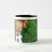 Singapur 4 zweifarbige tasse (Mittel)