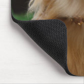 Singapur 5 mousepad (Ecke)