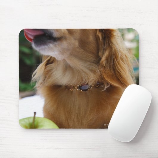 Singapur 5 mousepad (Mit Mouse)