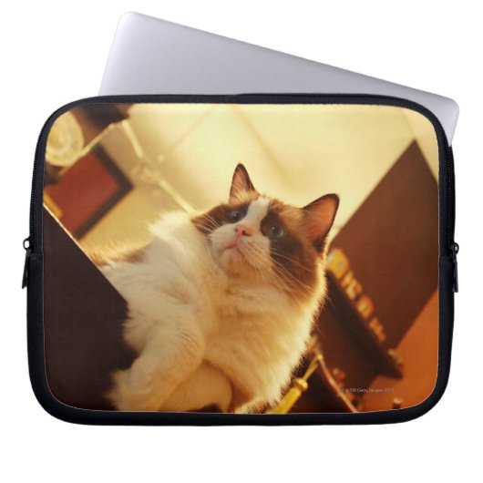 Singapur 6 laptopschutzhülle (Vorderseite)