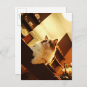 Singapur 6 postkarte (Vorne/Hinten)