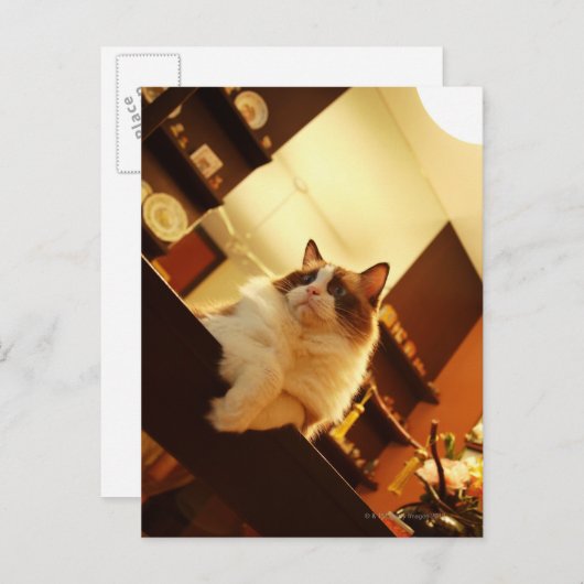 Singapur 6 postkarte (Vorne/Hinten)