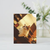 Singapur 6 postkarte (Stehend Vorderseite)